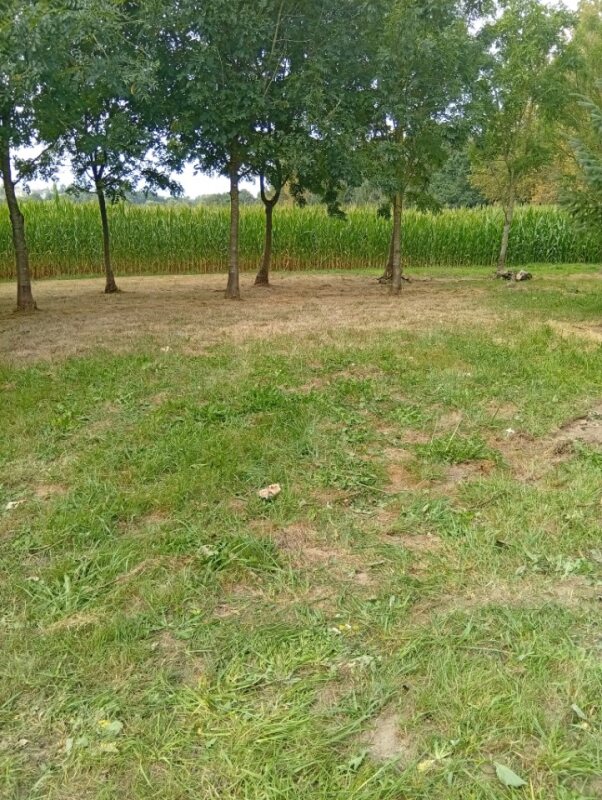 Aire camping-car  Saint-Connan (22480) - Photo 4